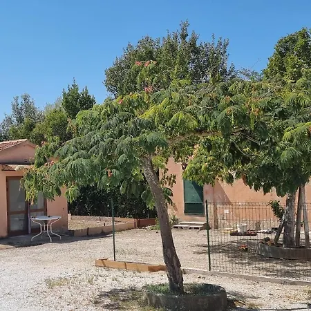 Town 2 Gasthuis Pisa