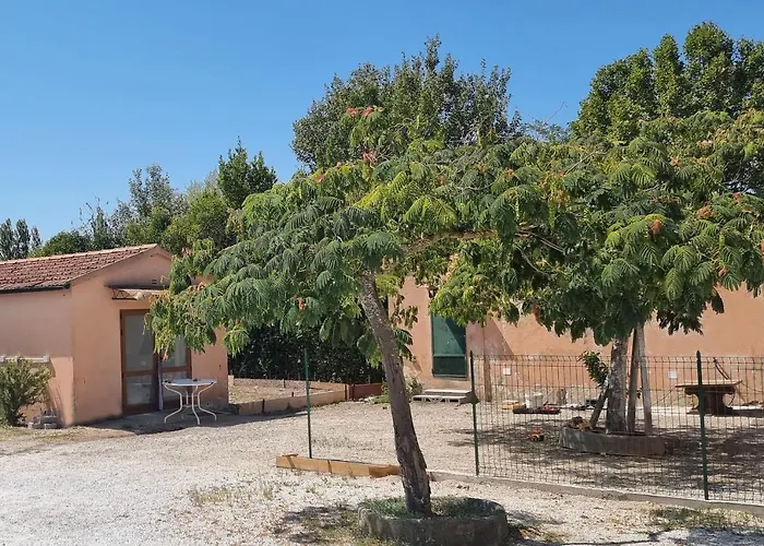 Town 2 Gasthuis Pisa